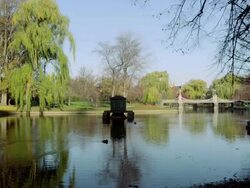 Boston Common and Public Garden Stock Footage