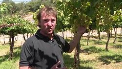VOICED : Torrontes Argentinas white wine News Clip