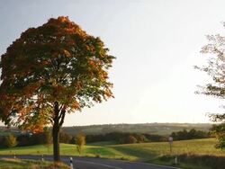 CRANE DOWN: Country Road Stock Footage