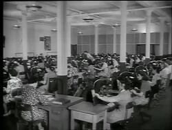 B/W 1944 women working in large room issuing War Bonds / Chicago / World War II / newsreel Stock Footage
