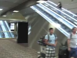 Honor Flight volunteers and WWII vets receive applause Stock Footage