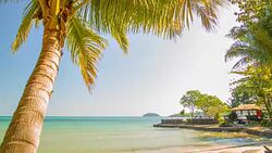 Bright beach Stock Footage