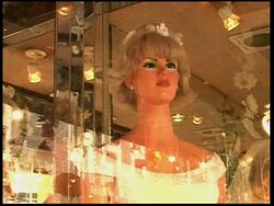 Would-be brides and grooms face fines if they fail to marry Instructional Video