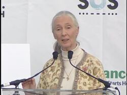 Live Earth New York press room Stock Footage