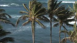 Solar Energy Instructional Video