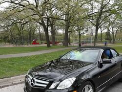 MS Young girl driving black convertible with bunch of balloons coming out  top of it outside near park on sunny day / Minneapolis, Minnesota, United States Stock Footage