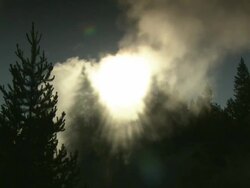 Low Angle static - Steam billows above evergreens and obscures a bright sun over Yellowstone National Park. / Yellowstone National Park, Wyoming, USA Stock Footage