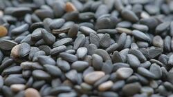 background of black sesame seeds, macro Stock Footage