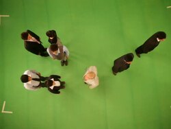 Business people forming rupee symbol  Stock Footage