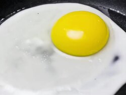 Frying Egg Stock Footage