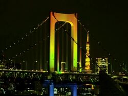 Rainbow Brigde Special Seasonal Lightup Stock Footage