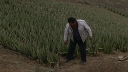 People with limited water access use resourceful way to collect water News Clip