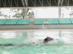Swimmer practice breaststroke for competition Stock Footage