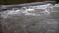 Water dam Stock Footage