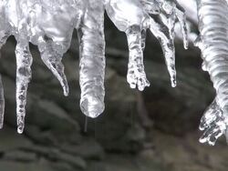 CU Melting icicles at Breitachklamm canyon in winter at AllgÃƒÂ¤u Alps / Oberstdorf, Bavaria, Germany  Stock Footage