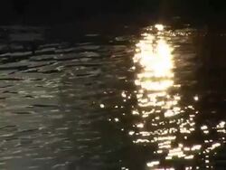 HD: Reflection Stock Footage