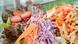 Helianthus tuberosus spicy salad healthy Stock Footage