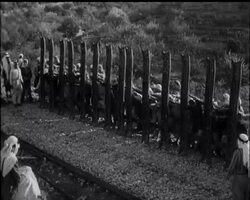 IN PALESTINE TODAY - News Clip