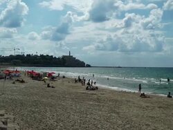 Tel Aviv Beach and Jaffa Stock Footage