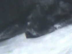 Salt crystals under microscope Stock Footage