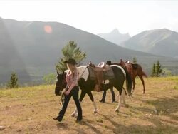 Women leads horses across mountain meadow Stock Footage