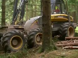  MS TS Harvester at work in forest / Zerf, Rhineland Palatinate, Germany Stock Footage