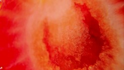 Extreme close up healthy strawberry slowly rotating Stock Footage