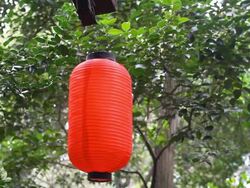 Chinese Red Lantern Stock Footage