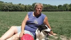 Dogs and owners take part in European Frisbee championship Instructional Video