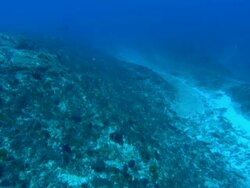 Channel, underwater, Aldabra, Indian Ocean  Stock Footage