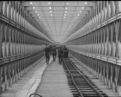 FESTIVAL SITE GROWS News Clip