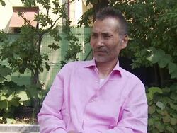 Yonayona Penguin Interviews: Venice Film Festival 2009 Stock Footage