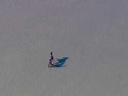 WS AERIAL ZI ZO POV  Man ridding horse cart near sea shore / North Frisian Sea,  Schleswig-Holstein, Germany Stock Footage