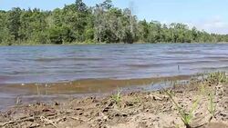 Reservoir. Stock Footage