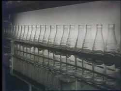 Inca Kola plant Stock Footage