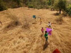 Group of kids flying kite in the forest Stock Footage