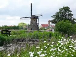 MS Shot of windmills near Leidschendam / South Holland, Netherlands Stock Footage