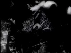 MEN OF TIMOR News Clip