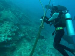 Diver attaches wheelie bin, underwater, Fiji, South Pacific  Stock Footage