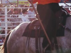 Spectators gather at rodeo while group of riders with flags and horses perform - shot in slow motion. Stock Footage