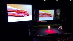 Bart Knols: 3 new ways to kill mosquitoes Instructional Video