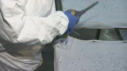 Growing fresh food indoors in urban areas News Clip