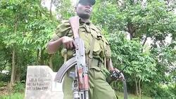 CLEAN : Cuddles and Kalashnikovs: protecting DR Congos gorillas News Clip