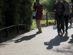 Smithsonian National Zoo Re-Opens After Government Shutdown Stock Footage