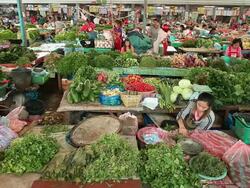 MS Shot of vegetables traders and customers in market / Vientiane, Laos Stock Footage