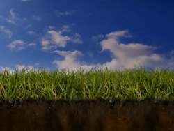 Grass Earth Cross Section Stock Footage