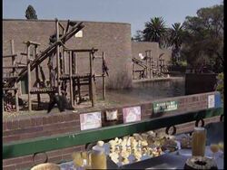 SOUTH AFRICA: JOHANNESBURG: ARRANGED MARRIAGE FOR ORANG-UTANS News Clip