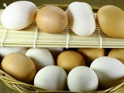 White and Brown eggs in the basket Stock Footage