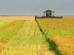 Farmer harvesting Canola field Stock Footage