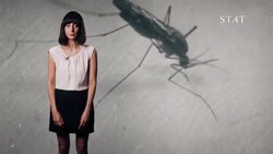 Boddities | Episode 11 | Why do bug bites cause skin bumps? News Clip